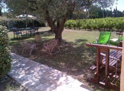 84G2860_vignette-1454336922.jpg